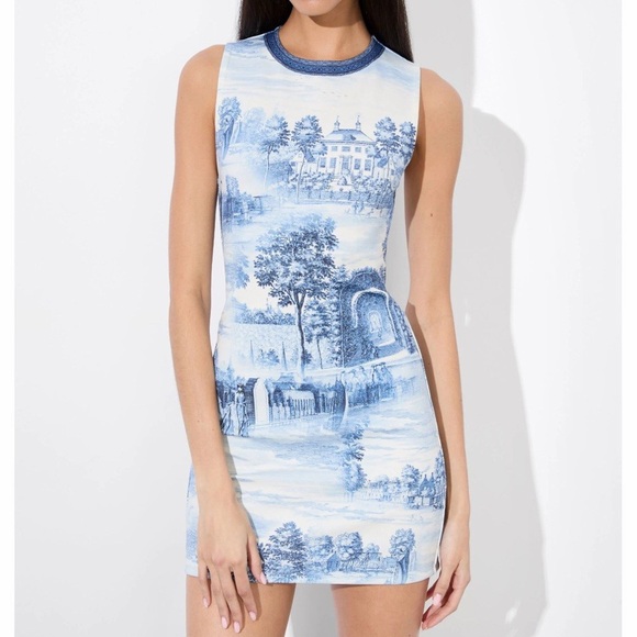 Alice + Olivia Dresses & Skirts - Alice + Olivia Wynell Chateau A Line Mini Dress Blue Toile De Jouy Floral 6
